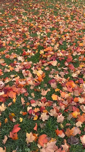 Power Zone on Reels | Facebook