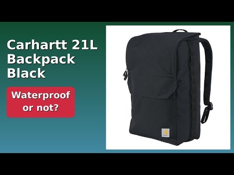 REVIEW (2026): Carhartt 21L Backpack Black. Features.