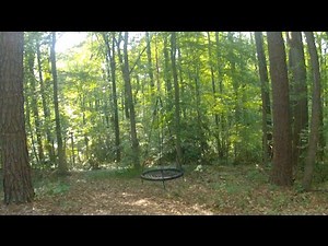 55 foot high Y swing - Piedmont Tree Climbing