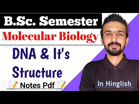 DNA & It's Structure || Bsc Semester || Molecular Biology || By Dadhich Sir