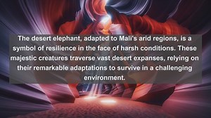 Discover Malis Wildlife Wonders: Top 10 Native Animals in Mali