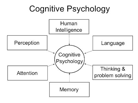 Cognitive Psychology Introduction