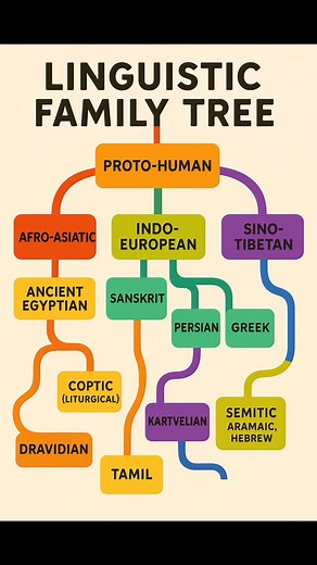 A break down the Linguistic Family Tree in detail, focusing on each branch and its significance in the history of human language: 🌍 PROTO-HUMAN (Hypothetical Origin) A theoretical common ancestor of all world languages. Linguists reconstruct it through shared phonemes, grammar structures, and vocabulary patterns. From this root, major language families branched out over tens of thousands of years. 🟥 AFRO-ASIATIC FAMILY ▸ Ancient Egyptian Spoken over 4,000 years ago. Known for hieroglyphic scri