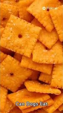 CAN DOGS EAT CHEEZ-ITS? (EVERYTHING YOU NEED TO KNOW)