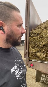 130K views · 8.5K reactions | Daily chore, making cow magic in the rumen. | TDF Honest Farming | Facebook