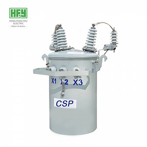 [Hot Item] 10 Kv Single-Phase Pole-Mounted Distribution Power Transformer