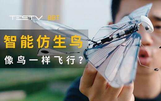 花800块买的“遥控仿生鸟”不如国产100块买的出头鸟？【BB Time第291期】