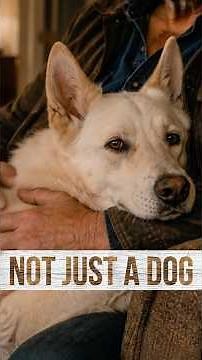 They Say He’s Just a Dog…