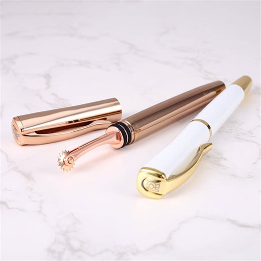 PenishMent – Wartenberg Pinwheel Pen