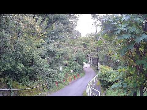 群馬県吾妻郡草津町 白根神社参道ライブカメラ