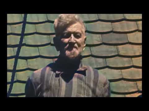 Execution of Dr. Claus Schilling