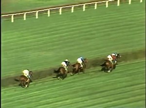 A Day Like Today in Horse Racing History November 19 By WinningStride Every Stride Tells a Story A day like today in 1977, Aqueduct Racetrack hosted the first running of a race that would grow into one of the most important turf events in American racing. It debuted as the Turf Classic. Today it is known as the Joe Hirsch Turf Classic Stakes, a Grade 1 race for elite grass runners. The inaugural winner was Johnny D, trained by Michael Kay and ridden by 17 year old Steve Cauthen. The race was run