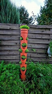 18K views · 387 reactions | Failed Experiment | Harvest Garden | Facebook