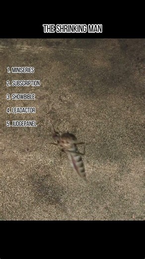 🌊🌪️ A normal family man goes out on the sea… and comes back shrinking 😱🧬