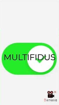 Multifidus Activation