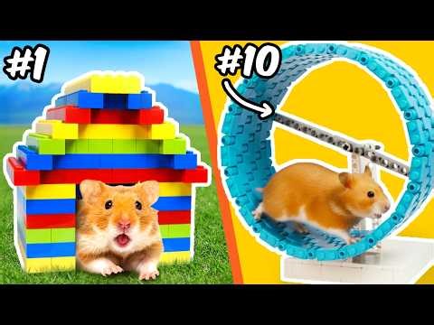LEGO BUILDS for my pet HAMSTER...