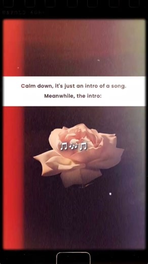 The intro.. 🤌✨🌷 #slowed #music #edit #lyrics