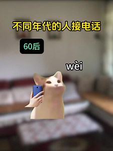 好像是这么回事🙈🙈 我就是那个每次不出声的然后挂了🤣然后再默默的查看银行户口然后再查看微信号或whatsapp🤣🤣🤣有没有同款 #00后 #90后 #80后 #70后 #接电话现状 | Janice Wong