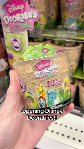 Disney Doorables: Collecting Winnie the Pooh Characters