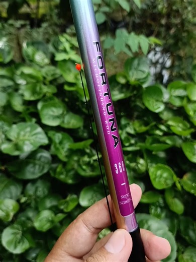 Joran tegek custom Orca Fortuna set tokos metal d30 silver #tegekcustom