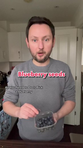 Growing Blueberries from Seed: Planting Tips and Tricks