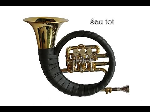 Jagdhornsignal: Sau tot