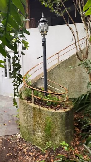 #stairs #staircase #cinderella #renovation #weirdnoises #gay #furbaby #osiris