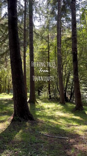 Saving a tree 🥹🌲🌿✨ #buslife #saveatree #savethetrees #treework #treehugger #beginnergardener #gardentok #springvibes #springgarden #garden #homestead #selfsufficient #vanlife #pnw #oregon #busconversion #slowliving #fulltimecamper #fyp