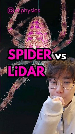 physics explains spider's behavior LIDAR