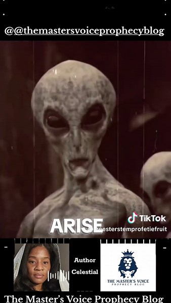 TheMeesterStemProfetieFruit on TikTok