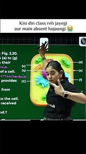 Avg Teacher life 🥹#physicswallah#alakhsir#alakhpandey#samridhimam#ritiksir#viral