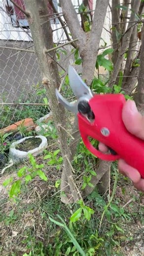 electric scissors easy use save time #tool P6332