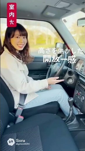 スズキ・ワゴンR（3代目）スズキ・ワゴンRスティングレー