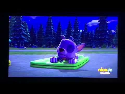 Paw Patrol: Rocky Sleeping Dreams