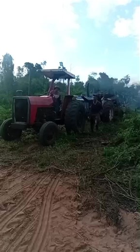 paratii #fip #loco #fip #video #viral ##