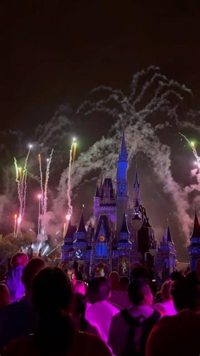 Happily ever after ✨🏰🚀 #disney #travel #mustsee #socool #traveldestinations Rocket is a must see!