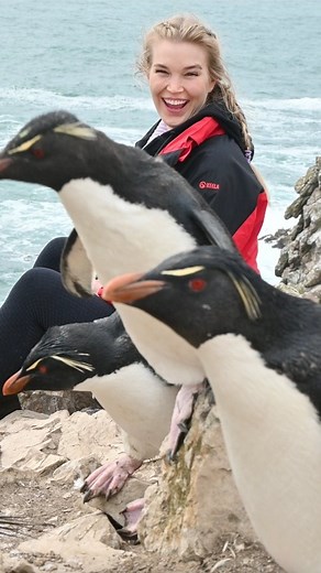 Alex Outhwaite - Travel TV Host 🌎 🎥 | Falkland Islands 🇫🇰 752m from the northern tip of Antarctica and 300 miles east of Patagonia the Falklands is made up of 778 islands.... | Instagram