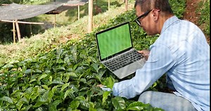 Smart farmer using laptop in eco green farm sustainable quality control. Close up Hand typing laptop computer quality control plant tree. Farmer hands using technology in eco Farmland biotechnology