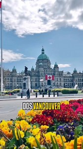 Las 3 ciudades más bonitas America🌎 🇨🇴 #Tourism #SabiasQue #datoscuriosos #date #usa #usareels #mexico #colombia #dubai #bogota #medellin #postviralシ #curiosidades #discovery #fblifestyle | Luister Dephay