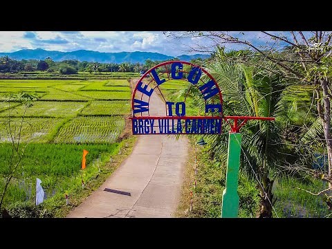 Clean and Green Program in Barangay