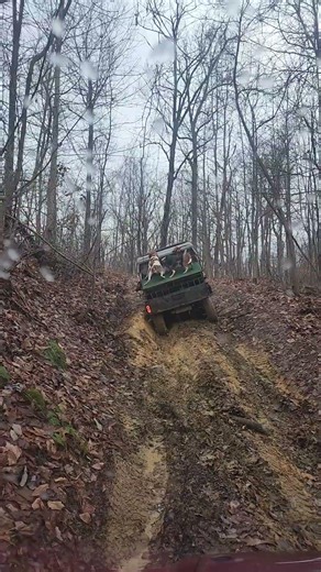 Bear Dogs in Action on the Farm