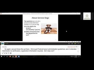 Common Issues Regarding Services Animals and the ADA