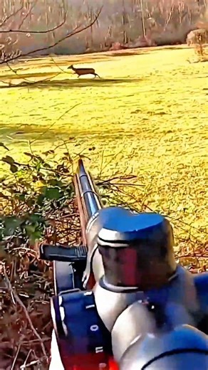 Epic Deer Hunt with Rifle | Perfect Shot! #deer #deerhunting #hunting #shootbetter