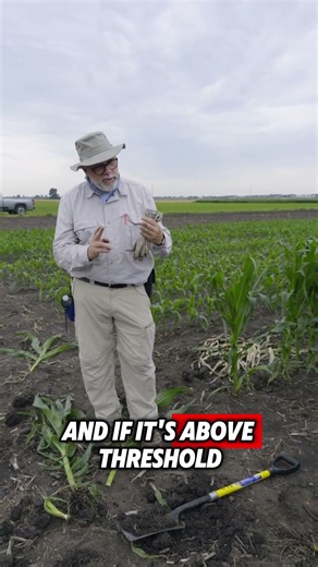 Episode 4: The Watch talks with Dr. Spencer why it's important to monitor fields for Corn Rootworm