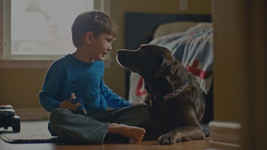 Hill’s Food, Shelter, Love Program | Hill's Pet Nutrition