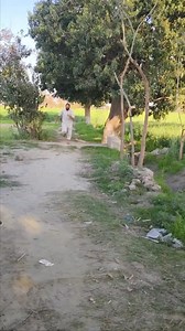 #Part59_bhai_Lerei_ho_gei #foryoupageシfuny_comedy_ #5_milion_folwer #StarsEverywhere | Punjabi Comedy