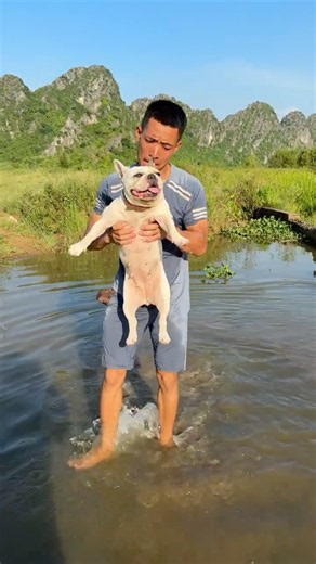 Hungry Dog Gets Abandoned After Taking Food – Heartbreaking Story 🐶💔#dog #lovedogs #pets