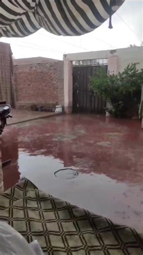 اس وقت #ملتان شہر میں درمیانی سے تیز بارش کا سلسلہ جاری ہے جبکہ اگلے 2 سے 4 گھنٹوں کے دوران قائم پور، حاصل پور، لڈن، چشتیاں، چھونا والا، فورٹ عباس اور گردونواح میں کہیں کہیں بارش کا امکان⛈️♥️🌧️ ویڈیو بشکریہ: شاہد خان Pakistan Weather Information #Pakistan #weather #rain #climate #Multan #punjab | Pakistan Weather Information