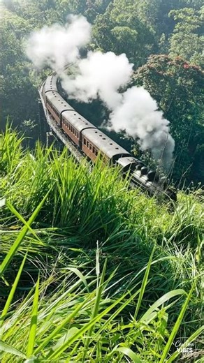Beautiful Steam Train Ride Over Uduwara Black Bridge | Sri Lanka