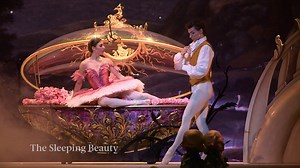 33K views · 1.9K reactions | We will be returning to Adelaide this...